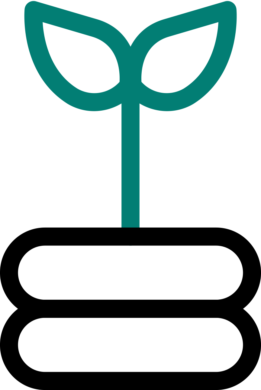 الجامعات السعودية